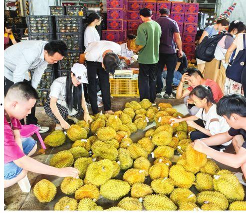 南宁水果爆料案件最新情况,真相大白，涉案人员悉数落网  第3张