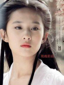 刘亦菲爆料宋宗宪视频播放,刘亦菲揭露宋宗宪视频播放背后的真相  第1张