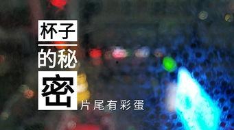 延吉饭店爆料视频播放网站,网络热议背后的真相  第3张