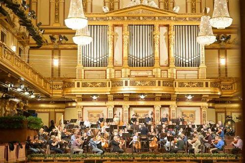 最新爆料维也纳视频大全,揭秘这座音乐之都的精彩瞬间